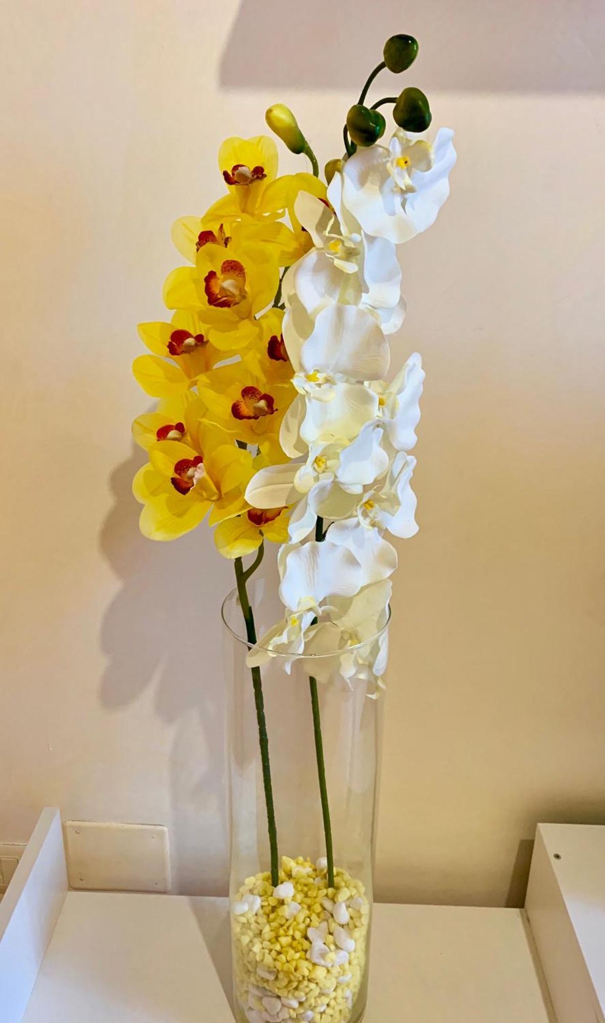 Orchidea Gialla Gaeta Ngoại thất bức ảnh